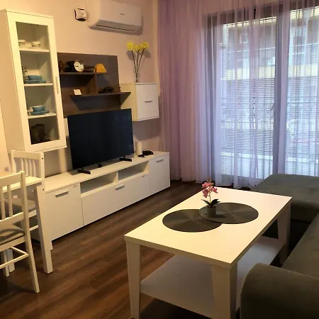 Purple Rose Valencia Gardens