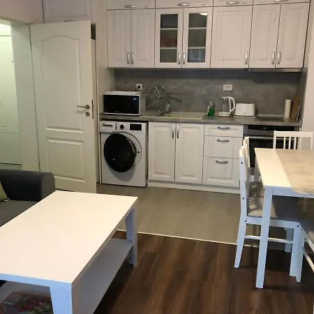 Purple Rose Valencia Gardens * 네세부르